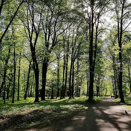 Cozy Free Street Parking Further Center Apartment Riga