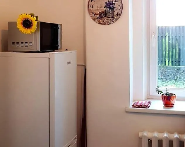 Dzīvoklis Cozy Free Street Parking Further Center *