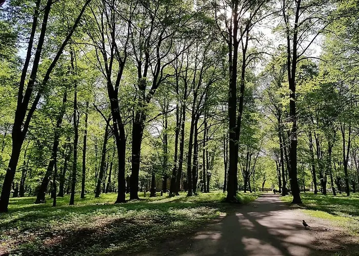 Cozy Free Street Parking Further Center Апартаменты Рига